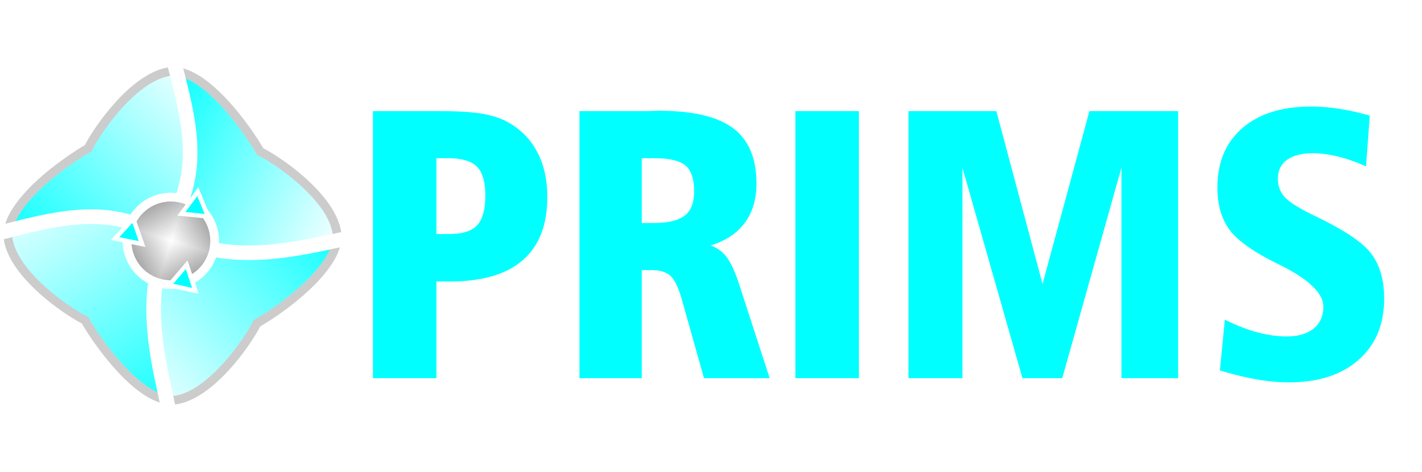 Prims PRIMS – systémy manažmentu